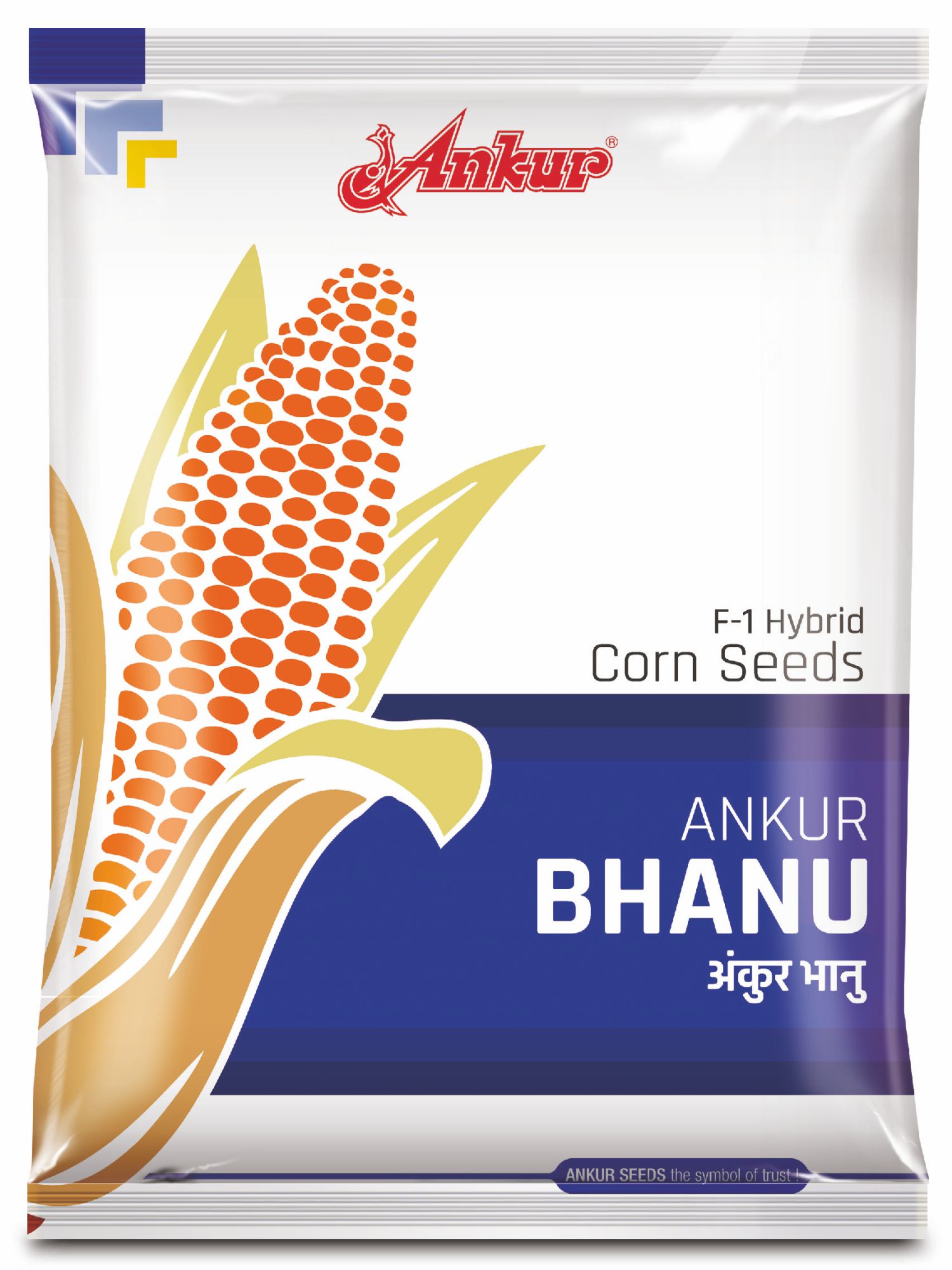 Hy Maize Ankur Bhanu 
